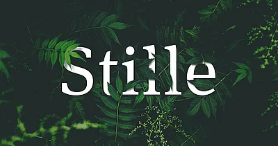 Das Wort "Stille" vor Farnblättern, die teilweise zwischen den Buchstaben hindurch ranken und darüber liegen.