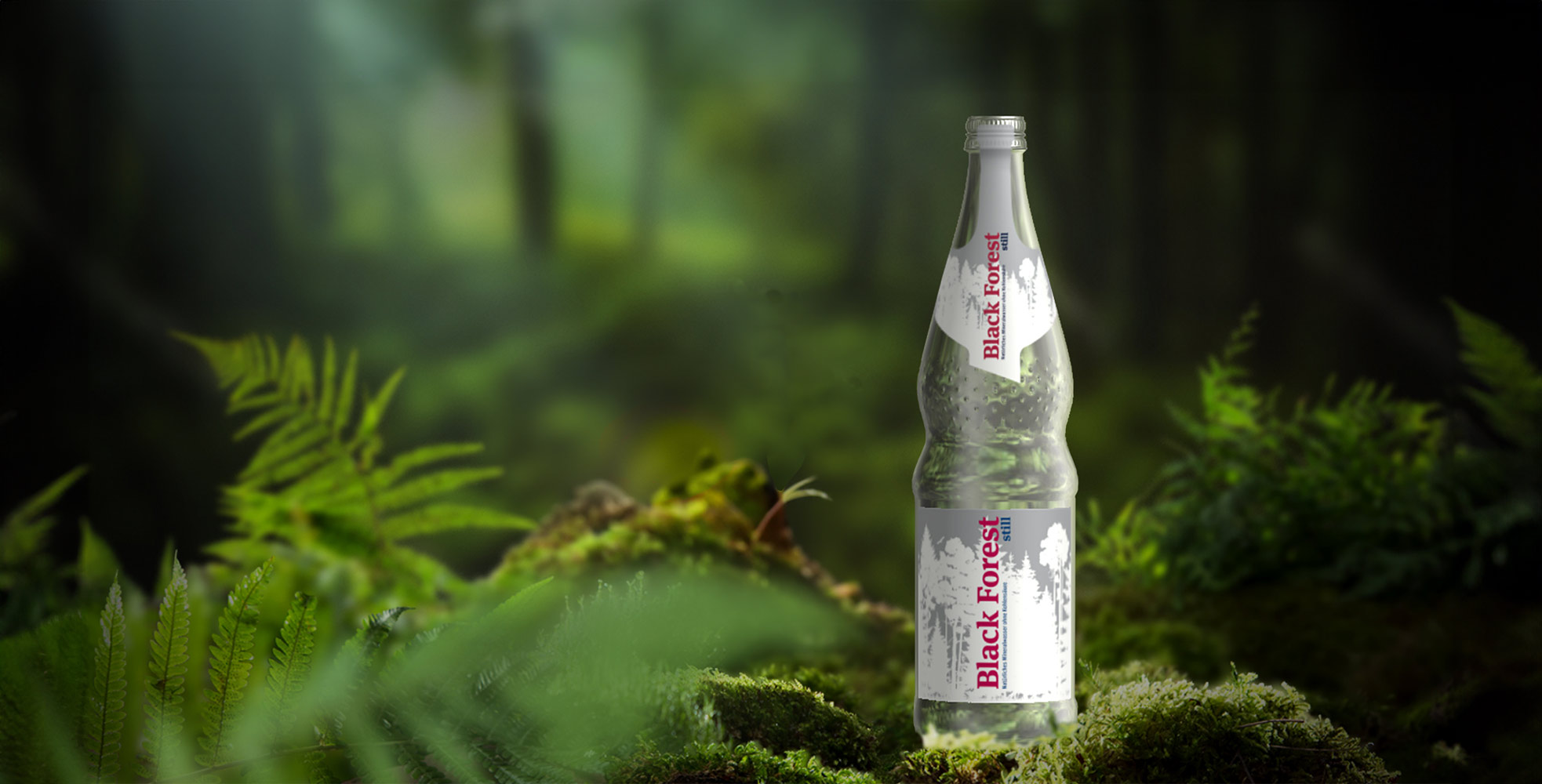 Headermotiv der Website Black Forest still zeigt eine Flasche, die zwischen Moos und Farnen steht