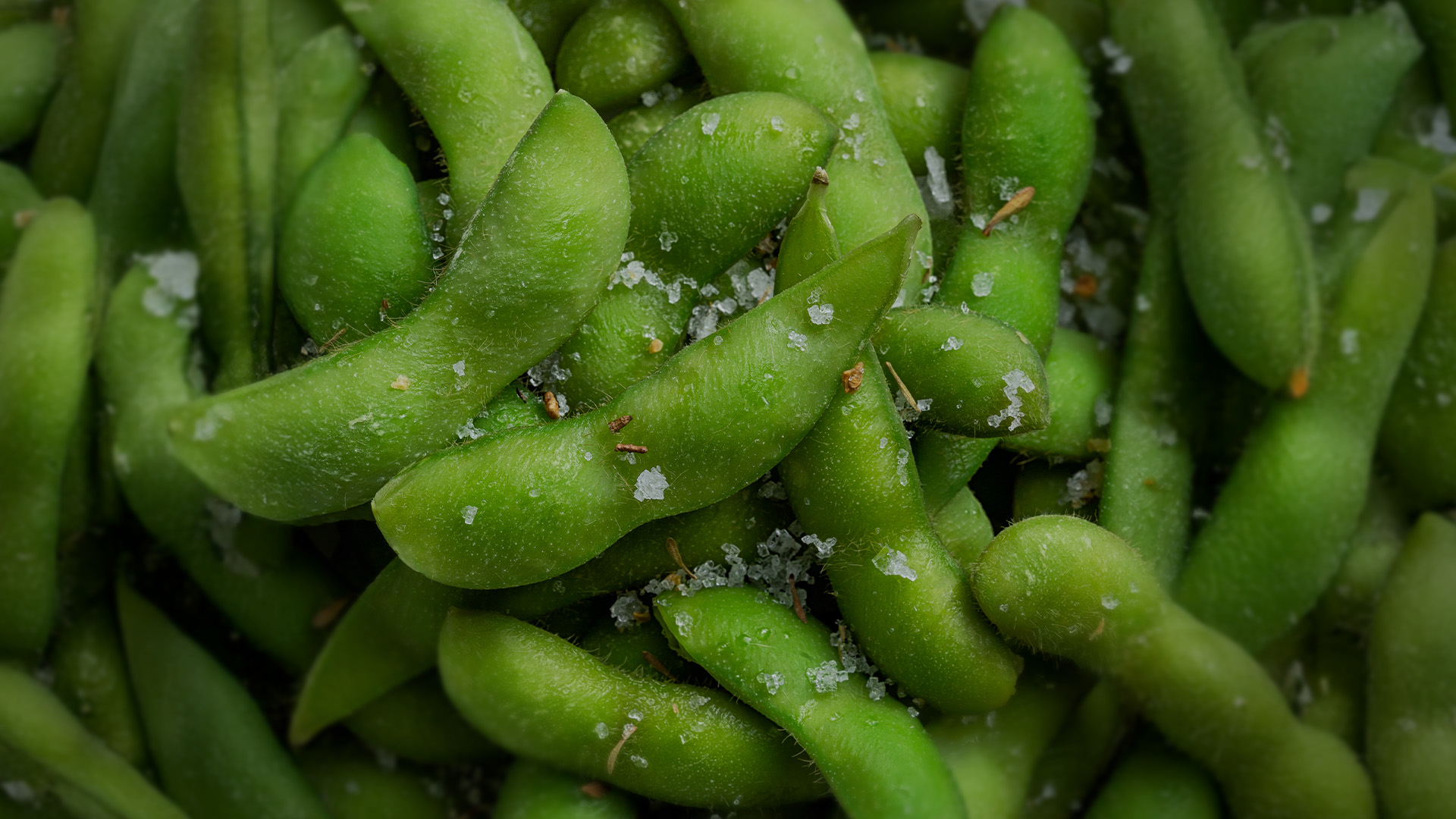Grüne Edamame-Bohnen mit grobem Salz in Nahaufnahme