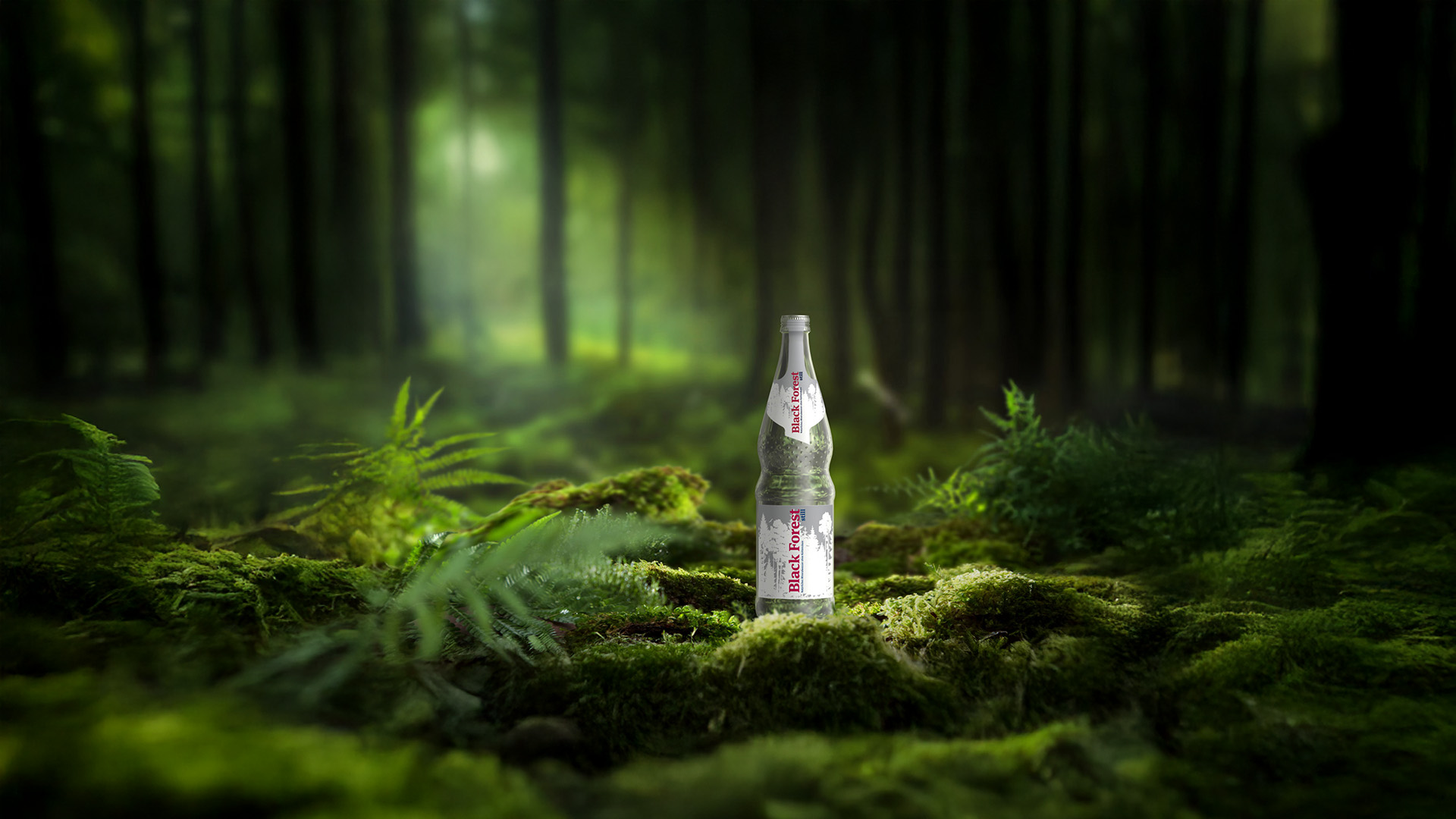 Eine Flasche Blackforest still steht auf einem bemoosten Stein in einem dunklen Wald.