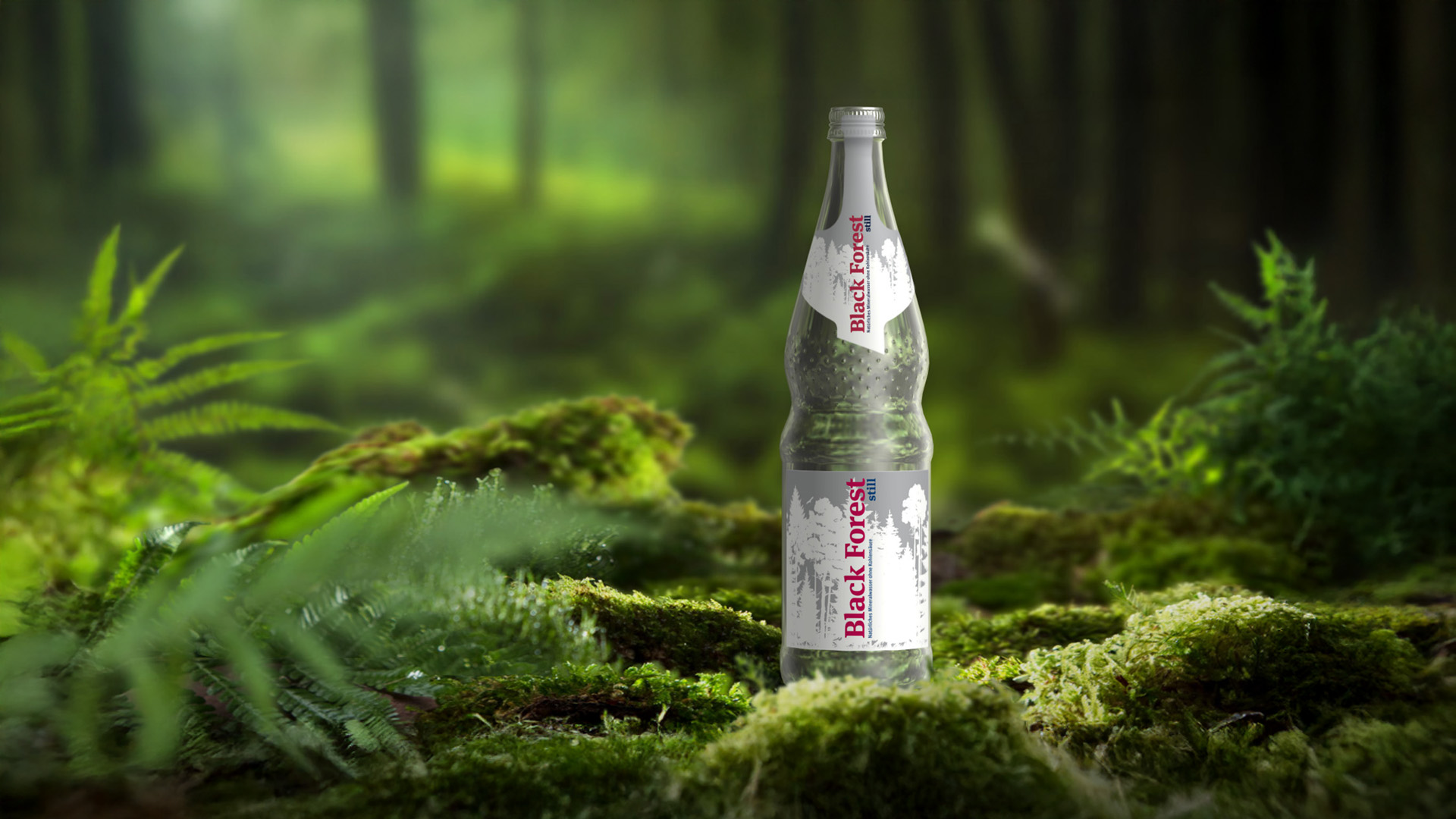 Eine Flasche Blackforest still steht auf einem bemoosten Stein in einem dunklen Wald.