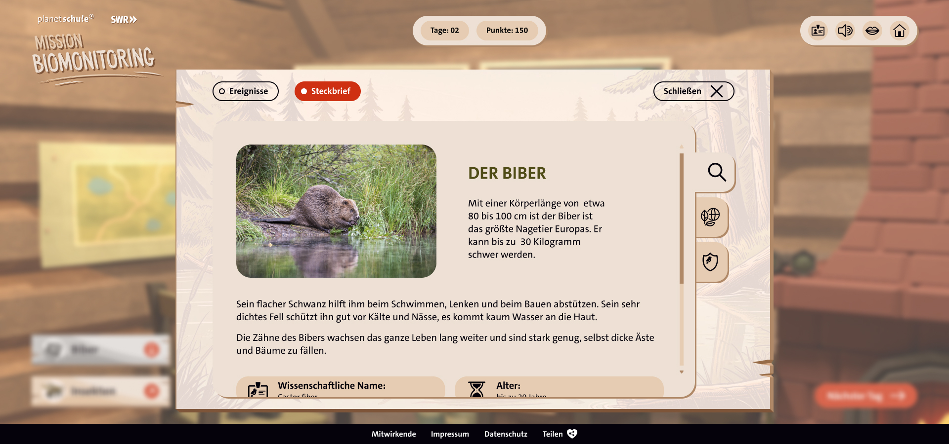 Szene aus dem Spiel. Steckbrief des Bibers, einer der sieben Schlüsselspezies