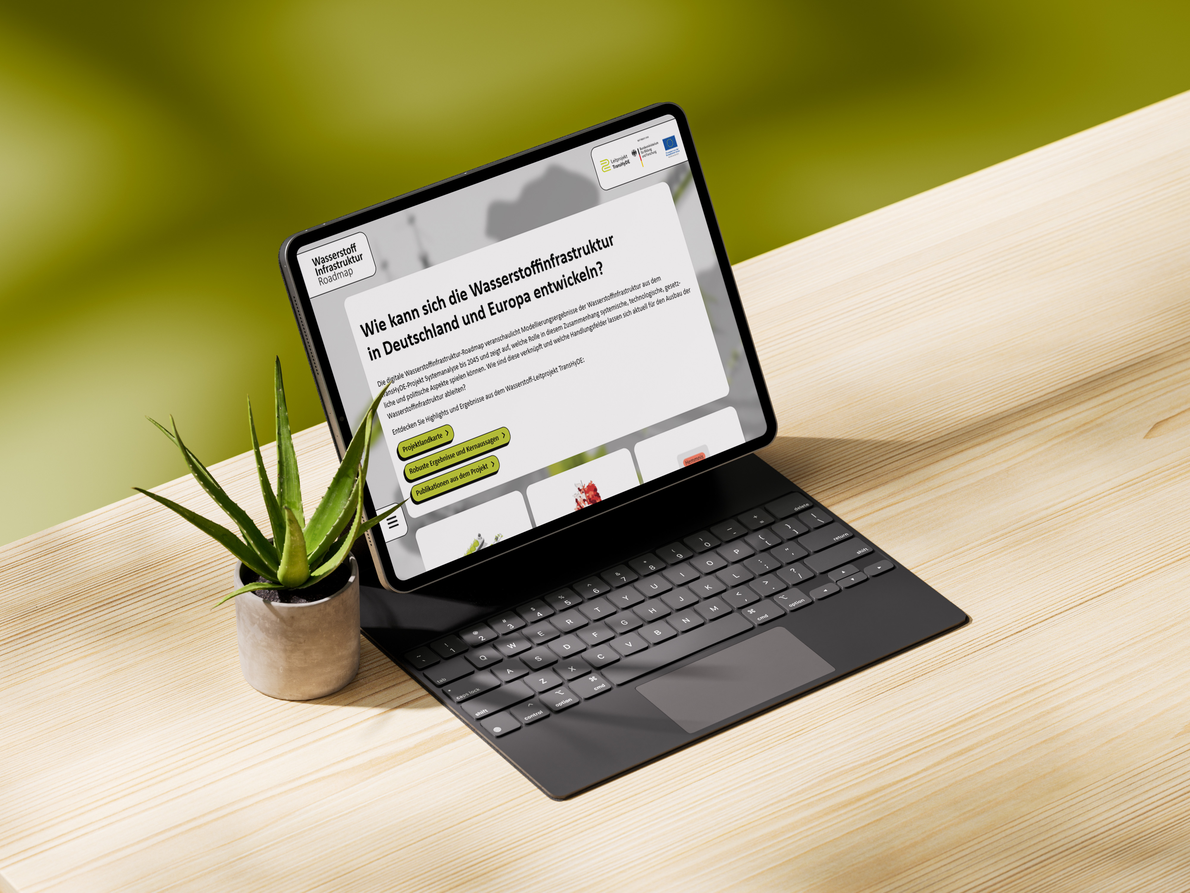 Laptop auf einem Schreibtisch mit Pflanze, auf dem Bildschirm die Starsteite der Website transhyde.de